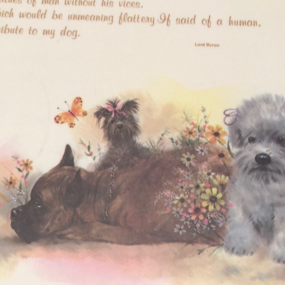 NWT Reversible Pet Bowl Dog food or water Plasticized Floor Placemat! - Picture 11 of 16